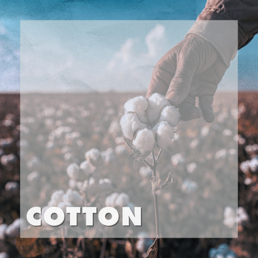 Cotton
